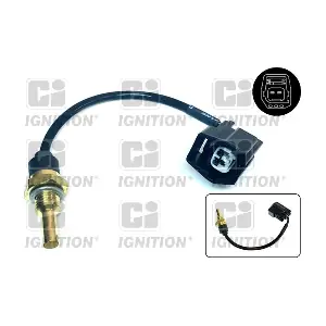 QUINTON HAZELL XEMS228