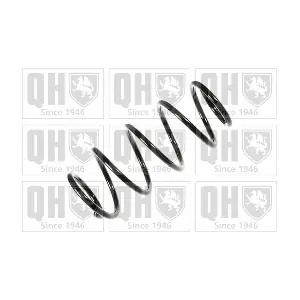 QUINTON HAZELL QCS6307