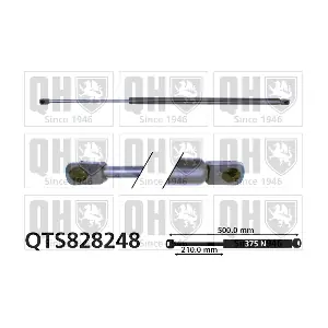 QTS828248 QUINTON HAZELL