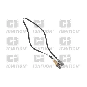 QUINTON HAZELL XLOS1595
