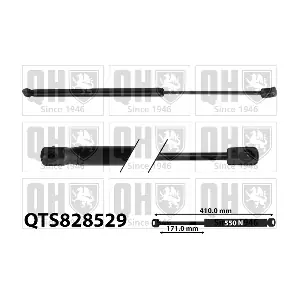 QTS828529 QUINTON HAZELL
