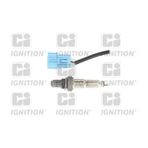 XLOS1467 QUINTON HAZELL