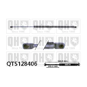 QTS128406 QUINTON HAZELL