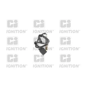 XLOS1615 QUINTON HAZELL