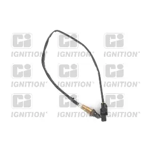 QUINTON HAZELL XLOS1781