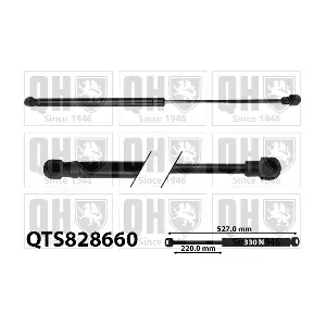 QTS828660 QUINTON HAZELL