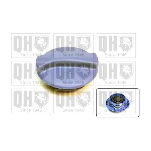 QUINTON HAZELL FC504