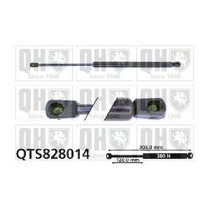 QTS828014 QUINTON HAZELL