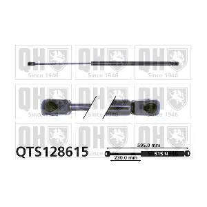 QTS128615 QUINTON HAZELL