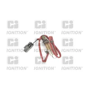 XLOS1620 QUINTON HAZELL
