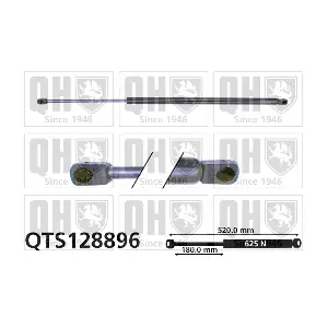 QUINTON HAZELL QTS128896