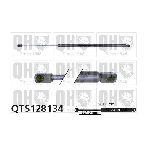 QTS128134 QUINTON HAZELL