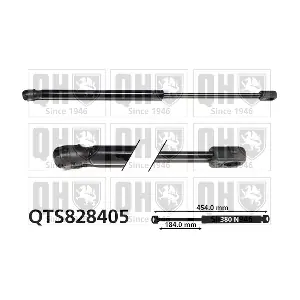 QTS828405 QUINTON HAZELL