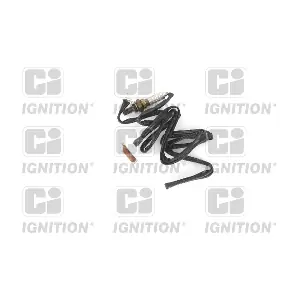 QUINTON HAZELL XLOS1100