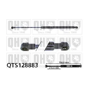 QUINTON HAZELL QTS128883