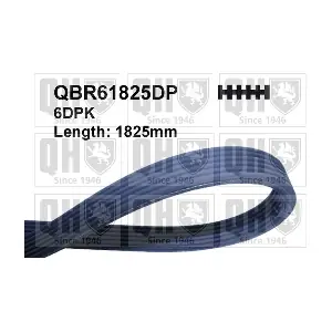 QUINTON HAZELL QBR61825DP