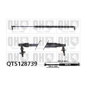 QUINTON HAZELL QTS128739