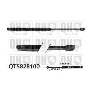 QTS828100 QUINTON HAZELL