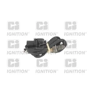 XLOS1829 QUINTON HAZELL