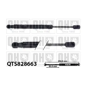 QTS828663 QUINTON HAZELL