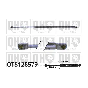 QTS128579 QUINTON HAZELL
