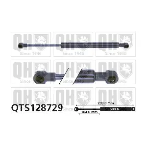 QTS128729 QUINTON HAZELL