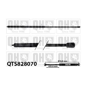 QTS828070 QUINTON HAZELL
