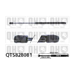 QTS828081 QUINTON HAZELL