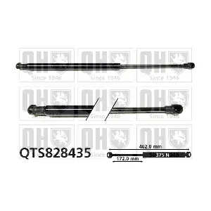 QTS828435 QUINTON HAZELL