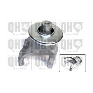 QUINTON HAZELL EM4774