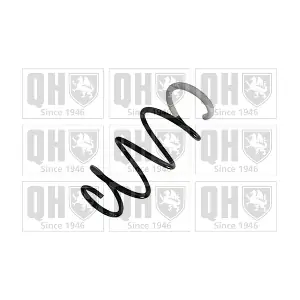QCS9119 QUINTON HAZELL