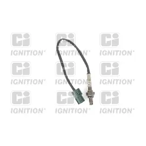 XLOS1569 QUINTON HAZELL