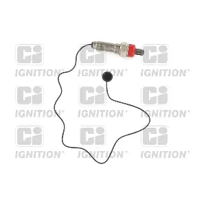 QUINTON HAZELL XLOS1028