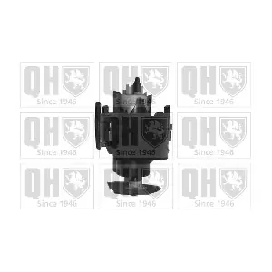 QFP619 QUINTON HAZELL