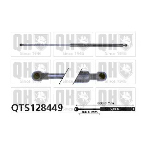 QTS128449 QUINTON HAZELL