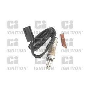 XLOS1669 QUINTON HAZELL