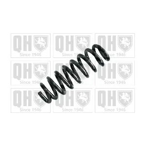QUINTON HAZELL QCS8041