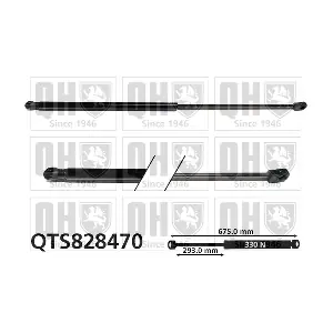 QTS828470 QUINTON HAZELL