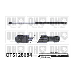 QUINTON HAZELL QTS128684