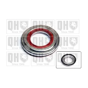 QUINTON HAZELL QAM148