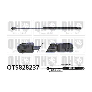 QTS828237 QUINTON HAZELL
