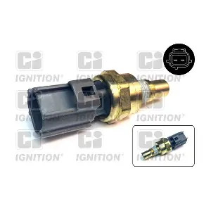 XEMS271 QUINTON HAZELL