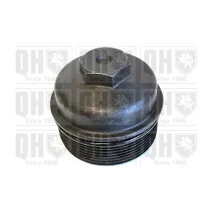 QUINTON HAZELL QOC1049