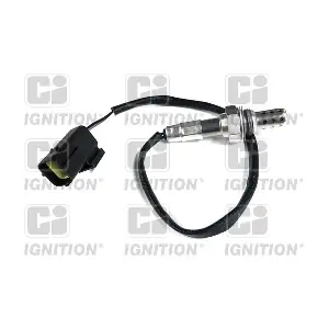 QUINTON HAZELL XLOS1006