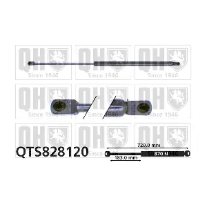 QTS828120 QUINTON HAZELL