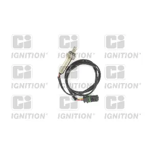 XLOS1121 QUINTON HAZELL