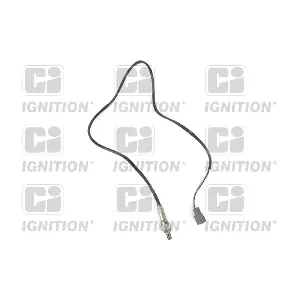 XLOS1241 QUINTON HAZELL