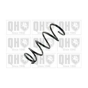 QCS8787 QUINTON HAZELL