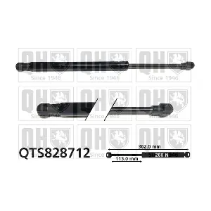 QTS828712 QUINTON HAZELL