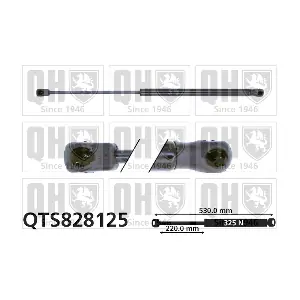 QTS828125 QUINTON HAZELL